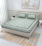 pp621 100% Cotton Bedsheet for Double Bed Queen Size with Pillow Cover Set, 220 TC